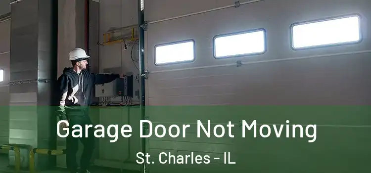  Garage Door Not Moving St. Charles - IL