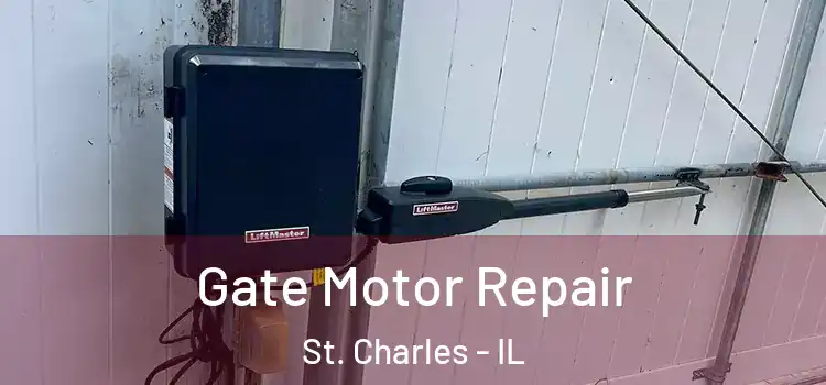 Gate Motor Repair St. Charles - IL