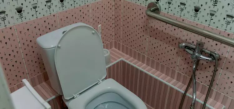 Meeting Diverse Needs With Accessible Restroom Solutions in St. Charles, IL