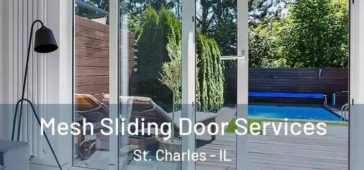 Mesh Sliding Door Services St. Charles - IL